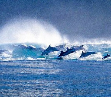 Картинка 7 Фото 7