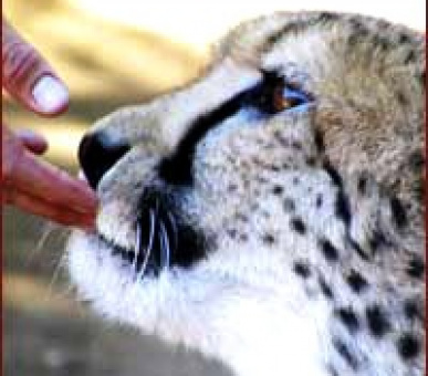 Картинка 6 Фото 6