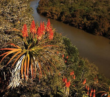 Картинка 6 Фото 6