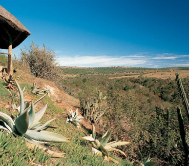 Картинка 5 Фото 5