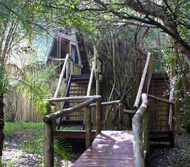 Картинка 5 Фото 5