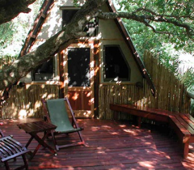 Картинка 3 Фото 3