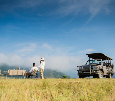 Картинка 15 Фото 15