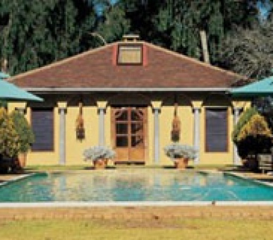 Картинка 11 Фото 11