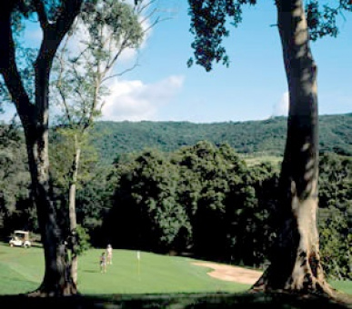 Картинка 1 Фото 1