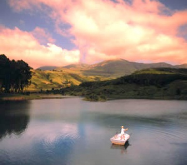 Картинка 3 Фото 3