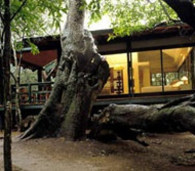 Картинка 7 Фото 7