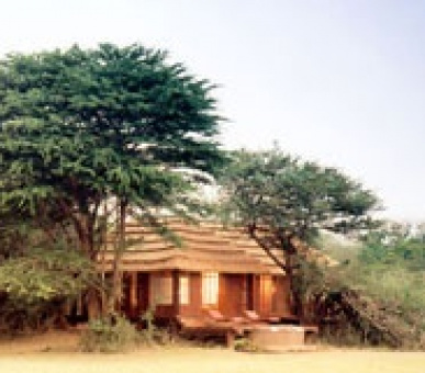 Картинка 8 Фото 8