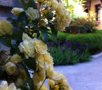 Фото Palacio de los Patos (Испания, Гранада) 11