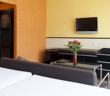 Фото AC Palacio de Santa Paula (Испания, Гранада) 29