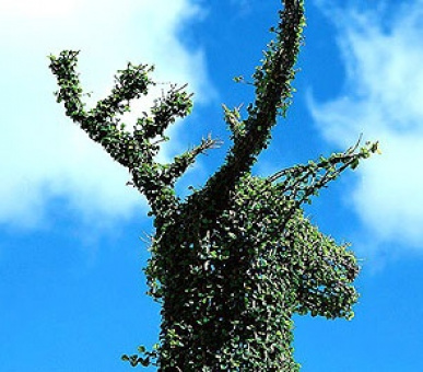 Картинка 10 Фото 10