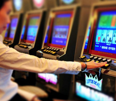 Картинка Royal Halong Hotel (Вьетнам, Залив Халонг) 6 Фото Royal Halong Hotel (Вьетнам, Залив Халонг) 6