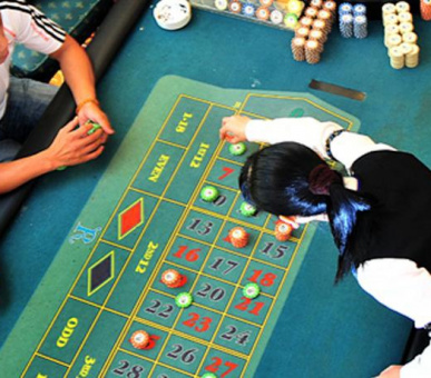 Картинка Royal Halong Hotel (Вьетнам, Залив Халонг) 5 Фото Royal Halong Hotel (Вьетнам, Залив Халонг) 5