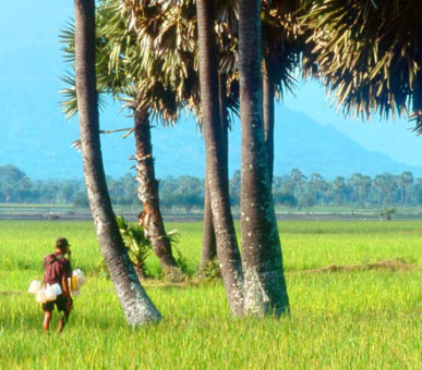 Картинка 15 Фото 15