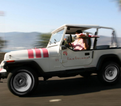 Картинка Las Brisas Acapulco (Мексика, Акапулько) 23 Фото Las Brisas Acapulco (Мексика, Акапулько) 23