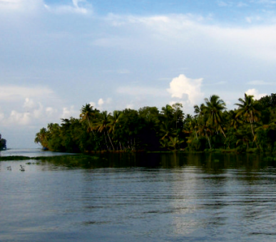 Картинка Carnoustie Beach Resort 24 Фото Carnoustie Beach Resort 24