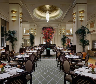 Картинка The Peninsula Chicago 23 Фото The Peninsula Chicago 23