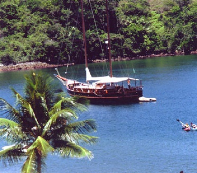 Картинка 13 Фото 13