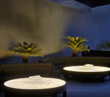 Фото Armani Hotel Dubai (Дубаи, Город Дубаи) 36