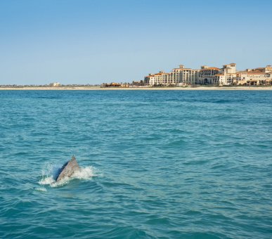 Фото The St.Regis Saadiyat Island Resort Abu Dhabi (Абу-Даби, Остров Саадят) 40
