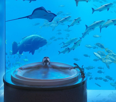 Фото Atlantis The Palm (Дубаи, Остров Палм Джумейра) 18