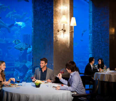 Фото Atlantis The Palm (Дубаи, Остров Палм Джумейра) 37
