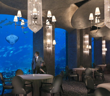 Фото Atlantis The Palm (Дубаи, Остров Палм Джумейра) 36