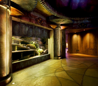 Фото Atlantis The Palm (Дубаи, Остров Палм Джумейра) 25