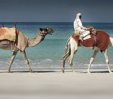 Фото The Ritz Carlton Dubai 38