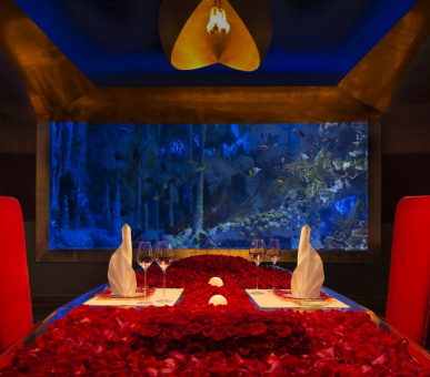 Фото Burj Al Arab (Дубаи, Джумейра) 17