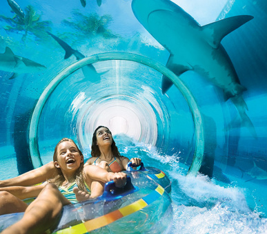 Картинка One 16 Фото One 16