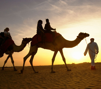 Картинка One 17 Фото One 17