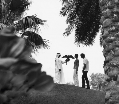 Картинка One 38 Фото One 38