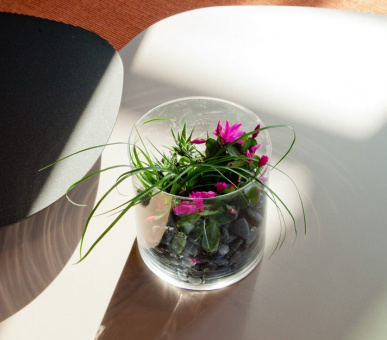 Фото Terre Blanche Hotel Spa Golf Resort (Франция, Туррет-Левенс) 23