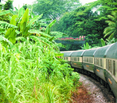 Картинка Eastern 19 Фото Eastern 19