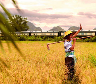 Картинка Eastern 29 Фото Eastern 29