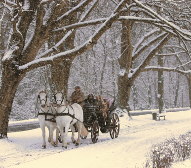 Картинка Brenners Park - Hotel 41 Фото Brenners Park - Hotel 41