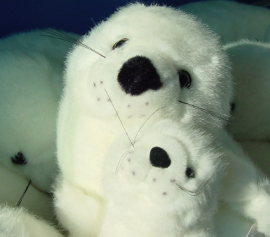 Фото Gardaland (Озеро Гарда, Парки развлечений) 34