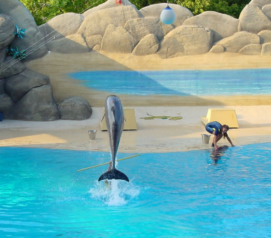 Фото Gardaland (Озеро Гарда, Парки развлечений) 32