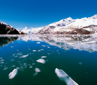 Картинка Национальный парк Глейшер Бей (Аляска, Национальные природные парки) 2 Фото Национальный парк Глейшер Бей (Аляска, Национальные природные парки) 2