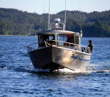 Картинка The Cedars Lodge (Аляска) 3 Фото The Cedars Lodge (Аляска) 3