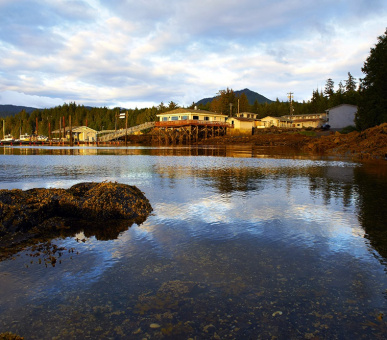 Картинка Silverking Lodge (Аляска) 7 Фото Silverking Lodge (Аляска) 7