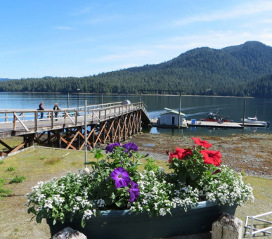 Картинка Silverking Lodge (Аляска) 8 Фото Silverking Lodge (Аляска) 8