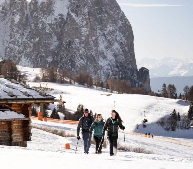 Фото COMO Alpina Dolomites 16