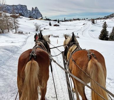 Фото COMO Alpina Dolomites 19