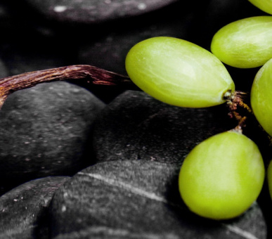 Картинка L'and Vineyards (Португалия, Алентежу) 34 Фото L'and Vineyards (Португалия, Алентежу) 34