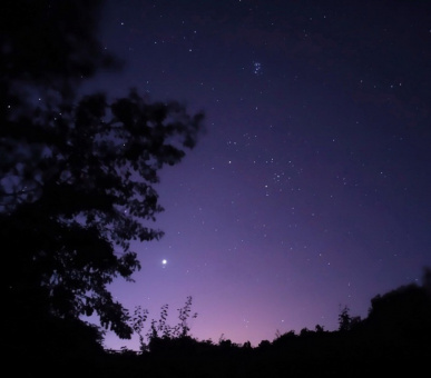 Картинка L'and Vineyards (Португалия, Алентежу) 8 Фото L'and Vineyards (Португалия, Алентежу) 8