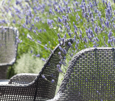 Фото Mandarin Oriental (Испания, Барселона) 19