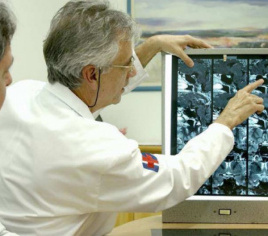 Фото Университетская клиника г. Фрайбурга  (Германия, Фрайбург) 5