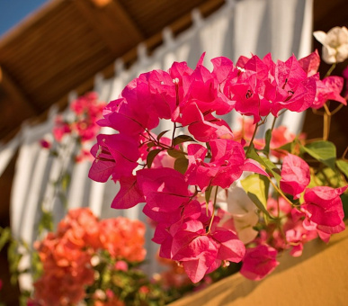 Картинка Capella Ixtapa (Мексика, Икстапа) 13 Фото Capella Ixtapa (Мексика, Икстапа) 13